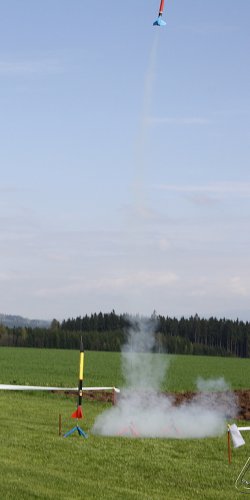 2013 Svojek Mirek Topinka